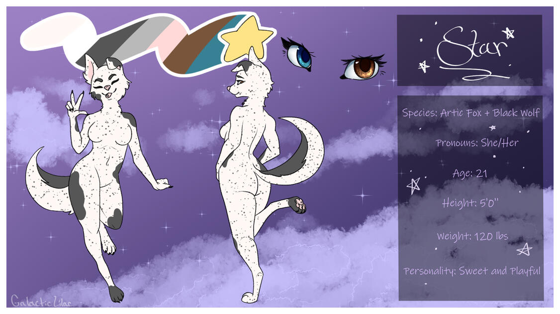 Ref Sheet